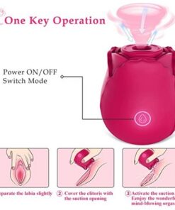 Rose Vibrator One Key Operation