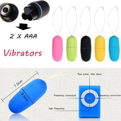 Remote Control Vibrating Egg Vibrator