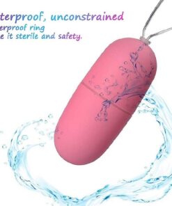 Remote Control Vibrating Egg Vibrator